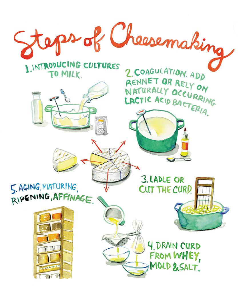 cheesemaking