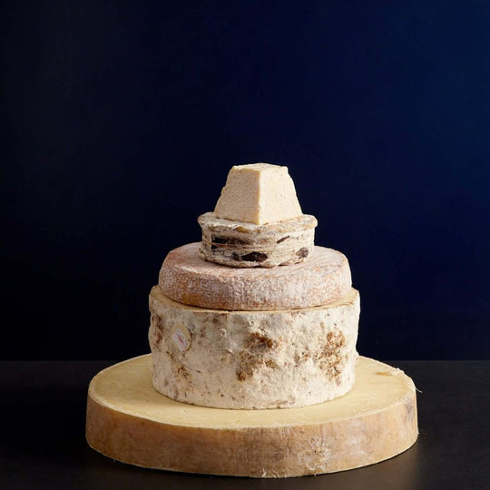 Fondant Cheese and Mice Cake Tutorial - Veena Azmanov