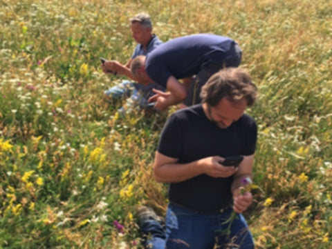 Cheesemakers fall to their knees in a meadow in France. They are amazed at the biodiversity in the grasslands and the potential this has to influence the flavour of their cheese. 