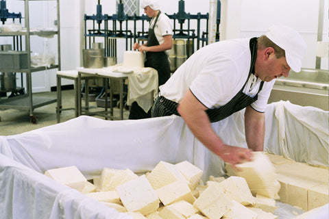 Graham Kirkham making Lancashire Cheese