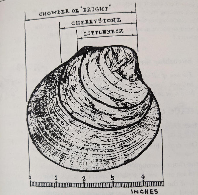 hard shell clam hand dredge