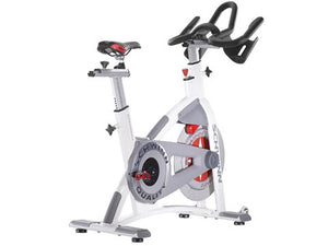 global schwinn fitness