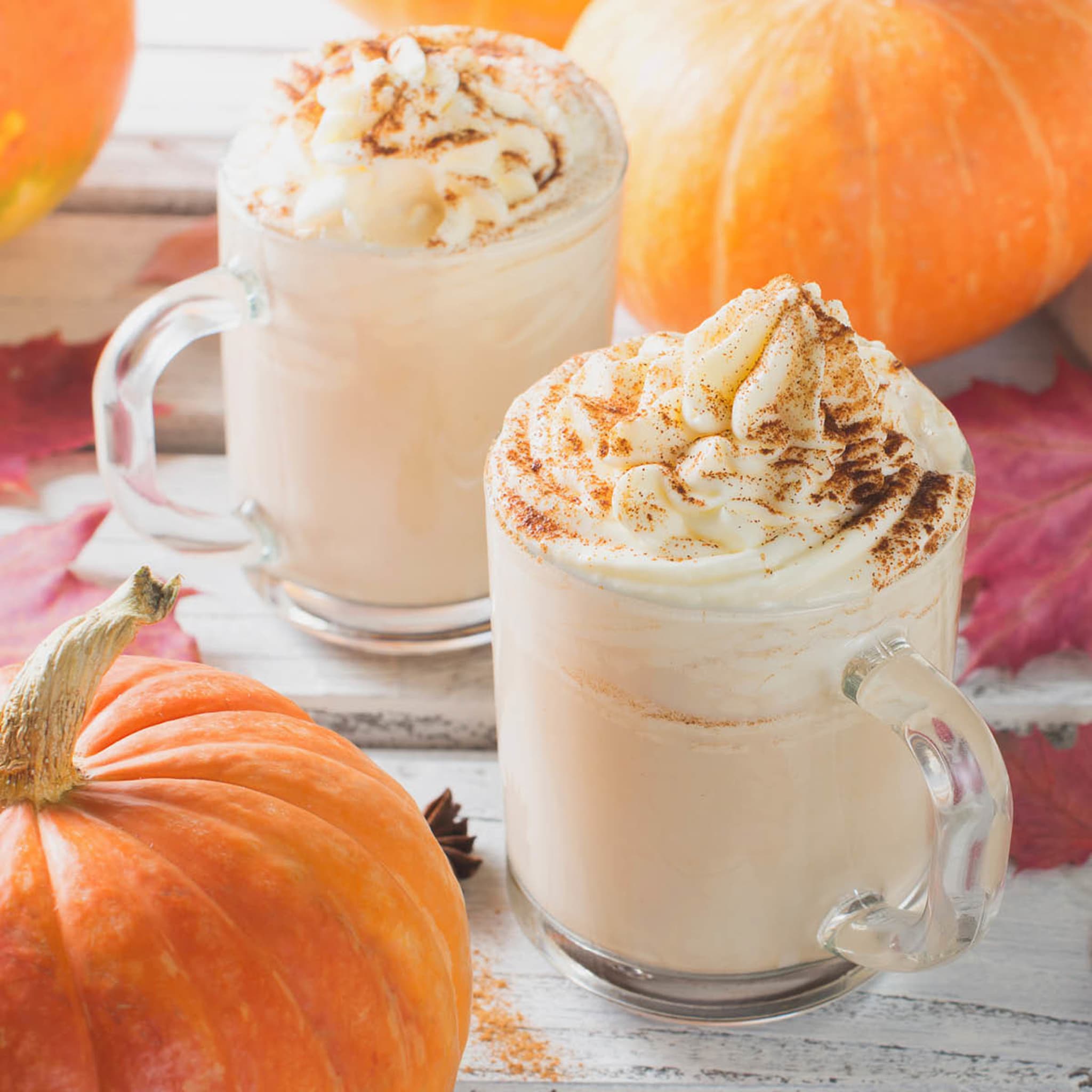 Pumpkin Cheesecake Latte - Kerry Food Services product image