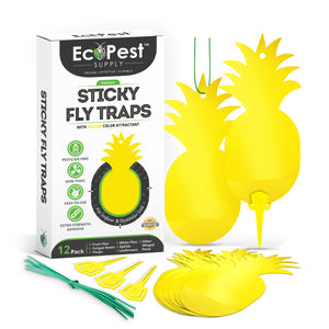 Window Fly Traps – 12 Pack | Transparent Sticky Fly Trap for Windows |  Insect Glue Trap and Indoor Bug Catcher for House Flies and Other Insects