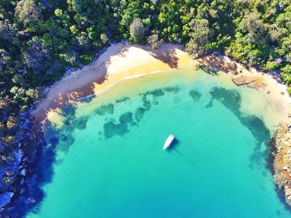 Best Beaches In Sydney To Wear Your Mens Board Shorts