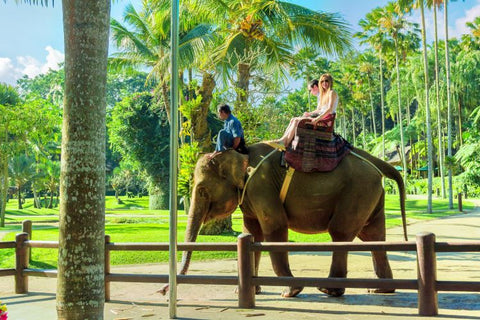 Bali Safari Park