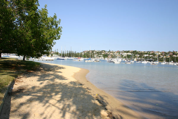 Best Beaches In Sydney To Wear Your Mens Board Shorts