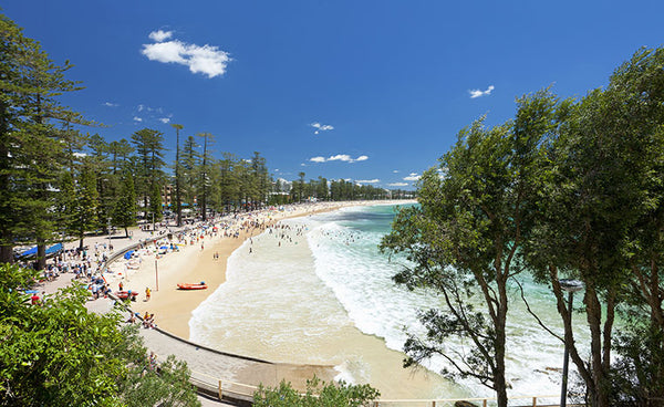 Best Beaches In Sydney To Wear Your Mens Board Shorts