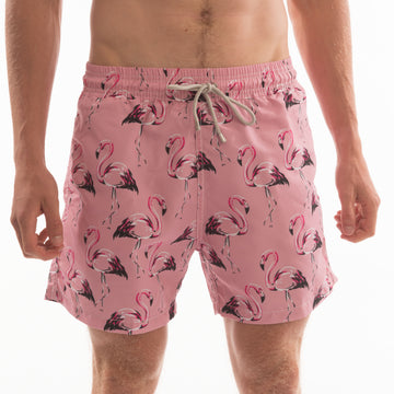 Shorts | Flamingos