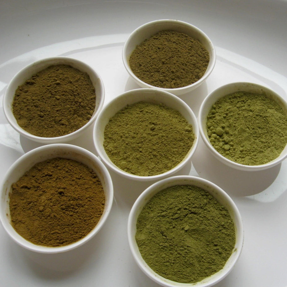 Different Kratom Strains Nectar of the Gods Botanical