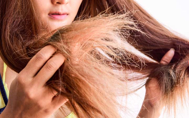 How To Repair Damaged Hair With The Help Of Ayurveda? – Vedix