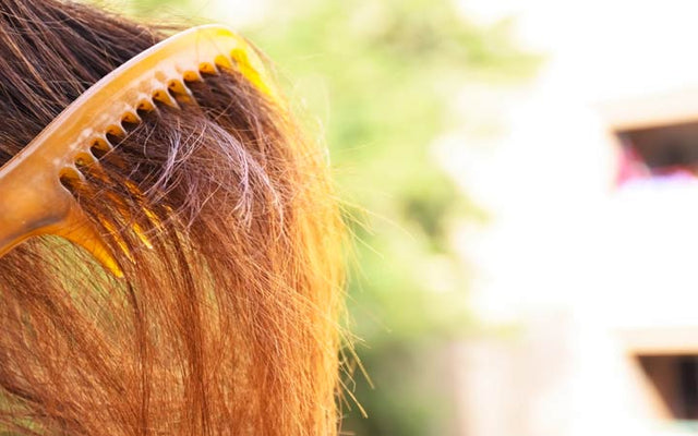 Dry And Frizzy Hair 14 Natural Ways To Treat The Condition Vedix