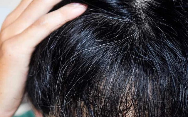 10 Best Shampoos For Gray Hair  2023