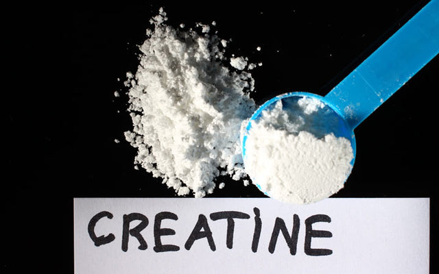 Does Creatine Cause Hair Loss? – Vedix