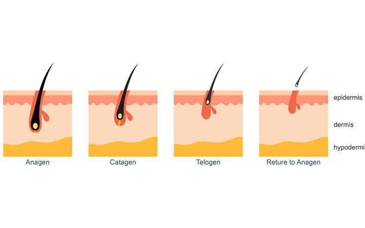 How To Differentiate Normal Hair Fall From Severe Hair Loss? – Vedix