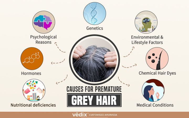 What are some possible causes of early greying and thinning of hair  Quora
