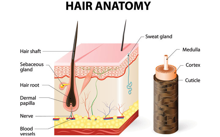 Hair Rebonding Vs Hair Smoothening Whats The Better Option  Yes Madam