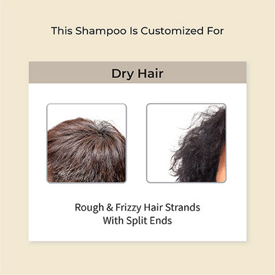 Hair Fall Defense Shampoo Men  CLEAR