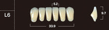 Load image into Gallery viewer, New Ace 2-Layer Acrylic Anterior Denture Teeth - Mega Dental Art Supply