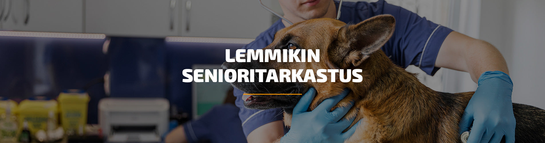 Lemmikin senioritarkastus — 