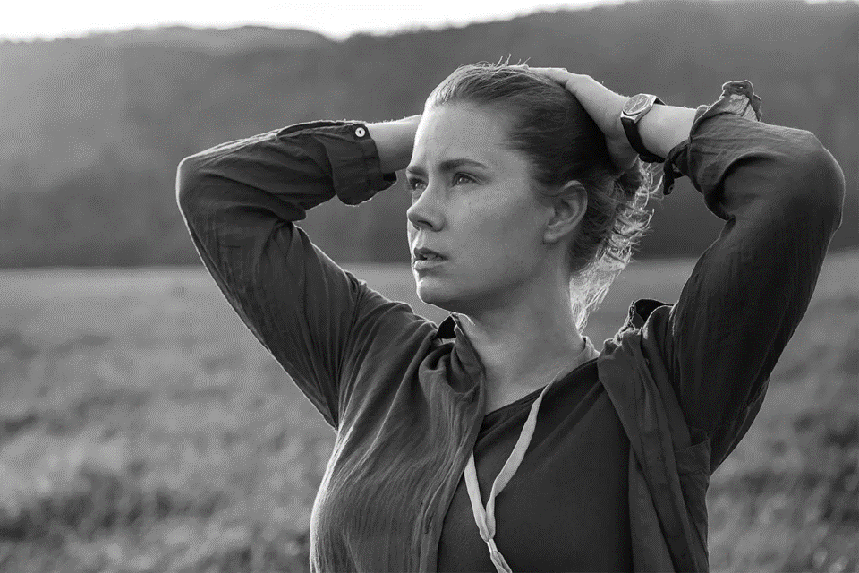 Amy Adams in the film Arrival