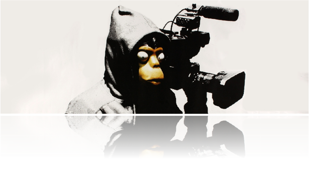 An image of a masked chimpanzee holding a camera for the Banksy documentary Exit Through The Gift Shop