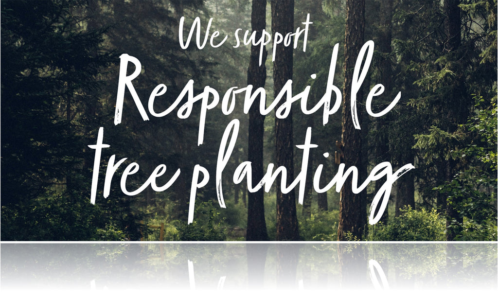 Responsible Tree Planting With Ecologi