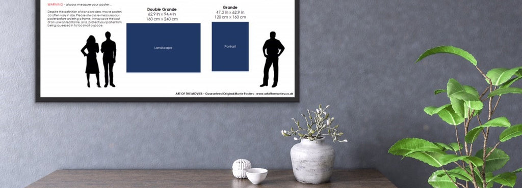 A close up of an Infographic showing French Movie Poster Names and Sizes