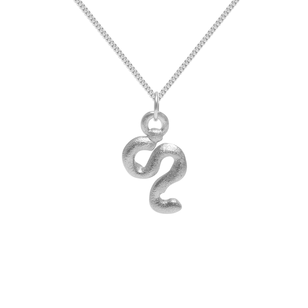 Zodiac Charm Necklace (Leo) - Stilnest INT product image