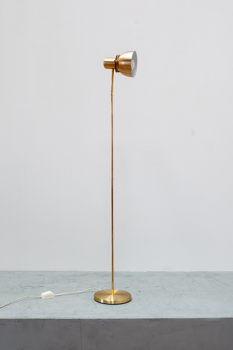 brass spotlight floor lamp