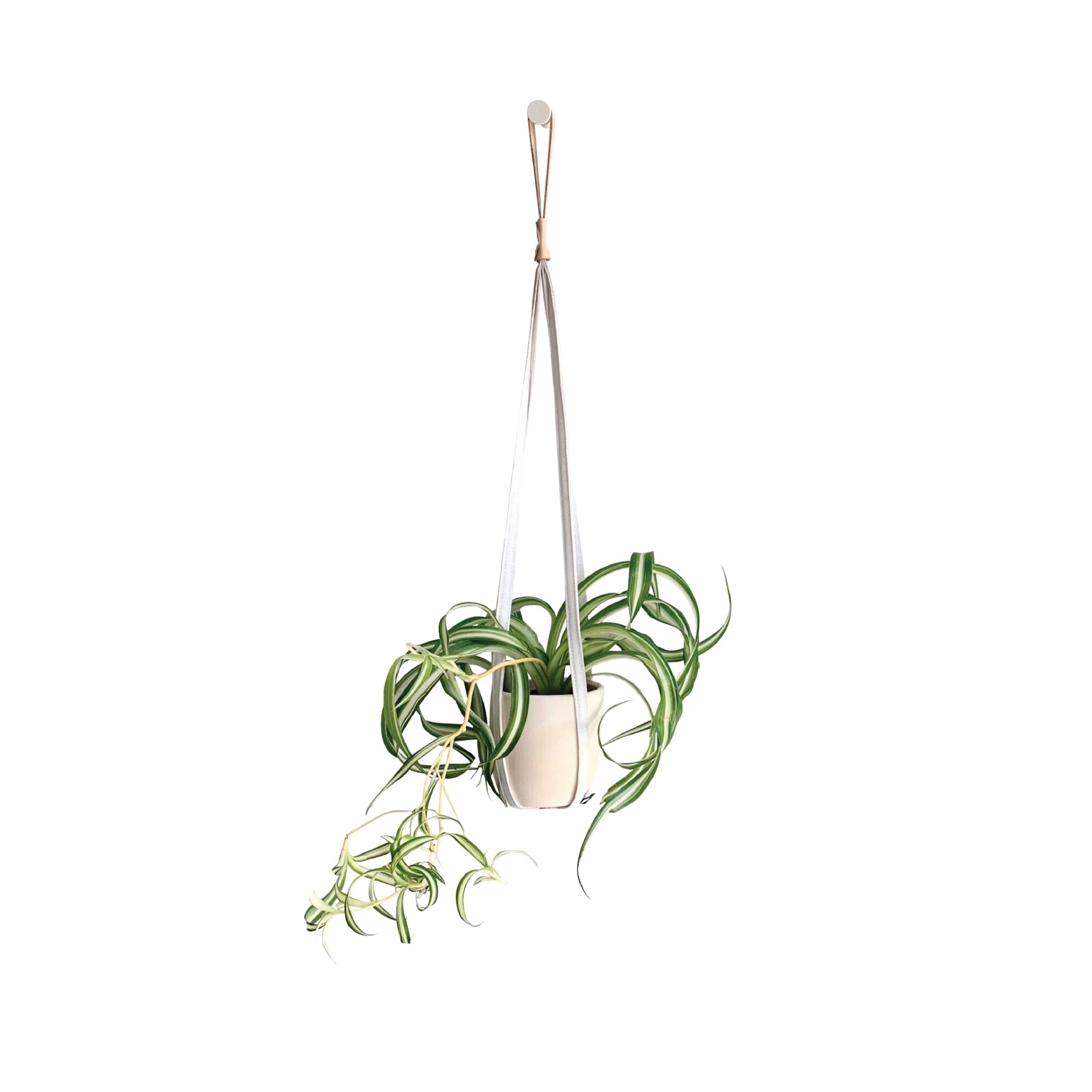 PLANT HANGER