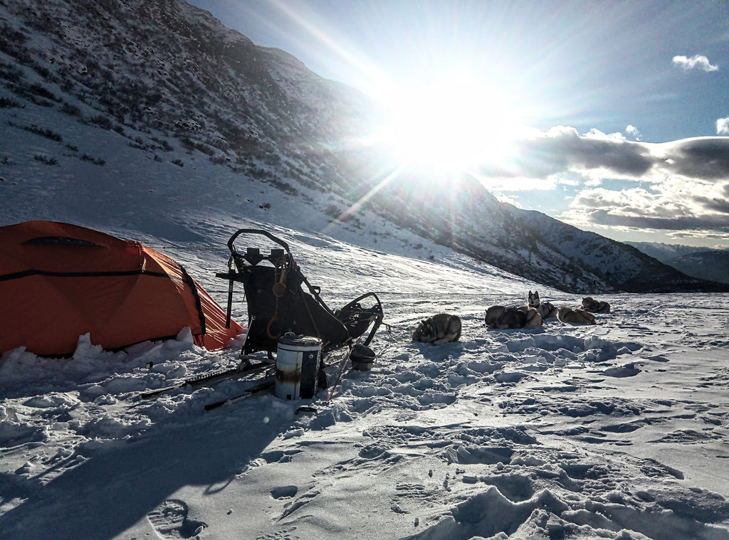 A bright orange tent pitched in the snowy mountains surrounded by the equipment of a dog sled team