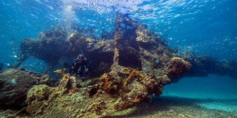 Snorkeling adventures, underwater discovery, Florida national park, tropical fish, Dry Tortugas national park, underrated national park