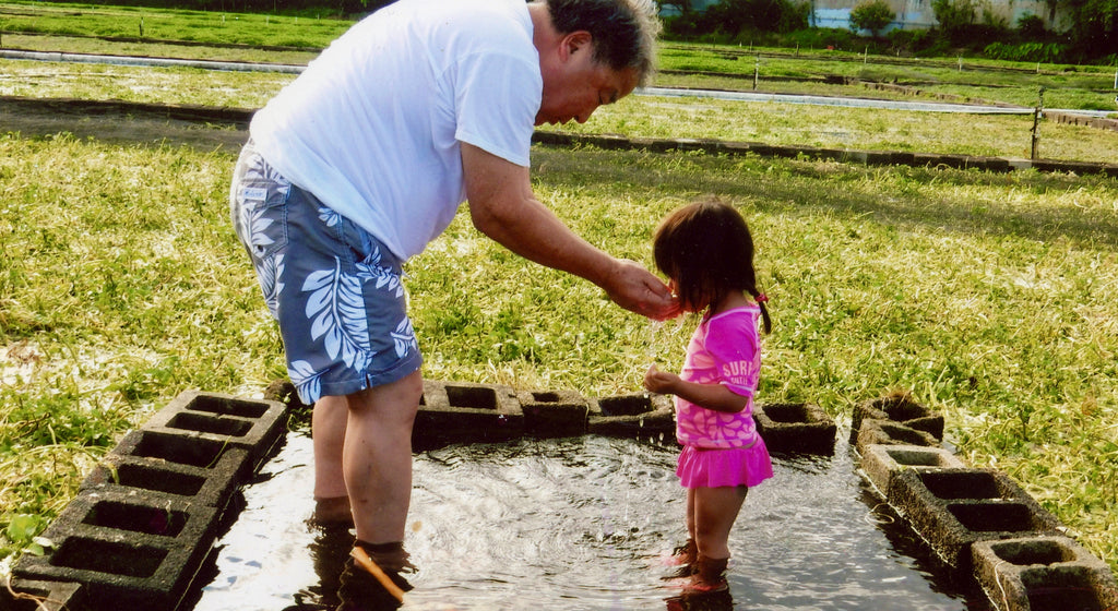 Stephen Sumida at Kalauao Springs with Granddaughter