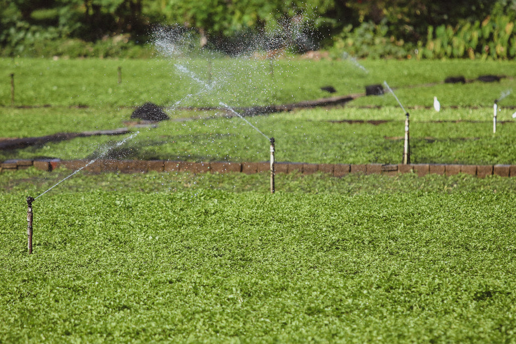 aerial sprinkler system