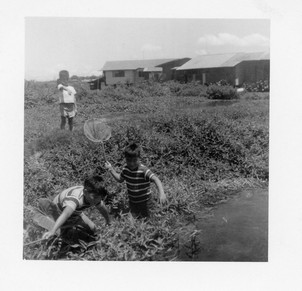 Sumida Farm Archive Photo