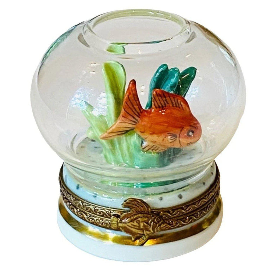 Gold Fish in Bowl - Premium Quality Pet Fish for Home Aquariums