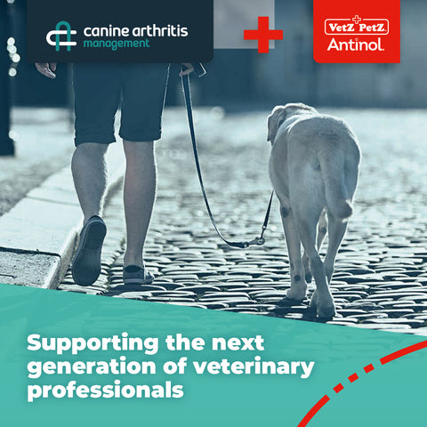 Canine Arthritis Management & Vetz Petz Antinol Partnership. Labrador walking beside owner with word overlaid "Supporting the next generation of veterinary professionals". 