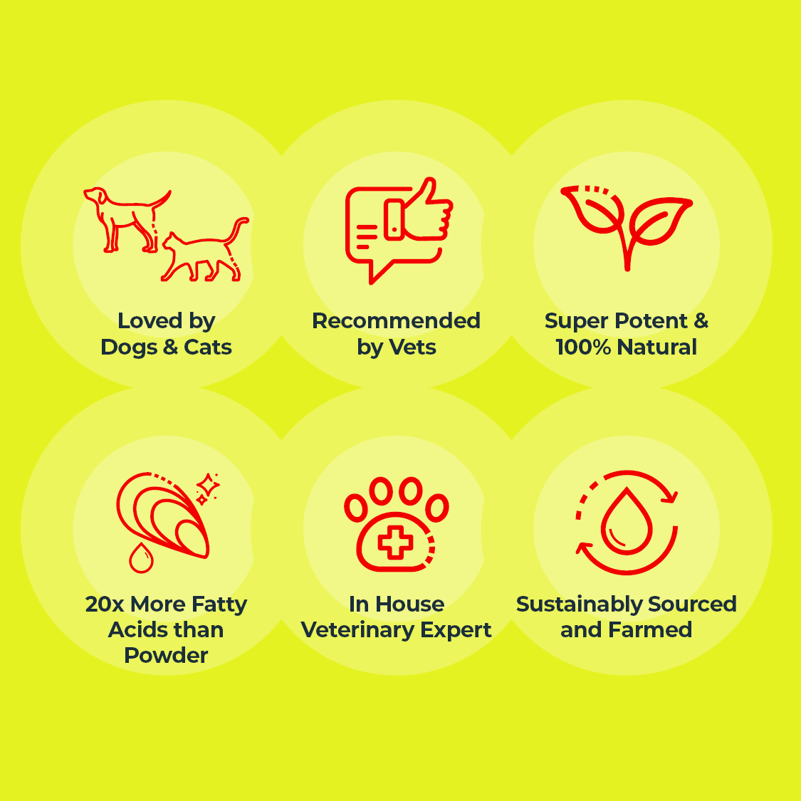 Benefits for Dogs mobile