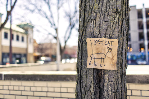 Stick drawing of a cat, labelled "lost cat", pinned to tree - new years resolutions - check microchip details