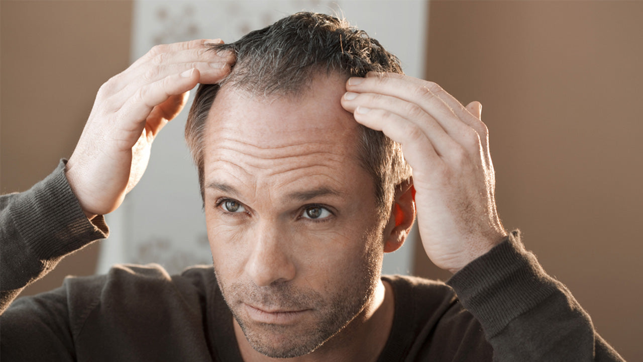 Where to Find the Top Amino Acids for Hair Growth The Amino Company