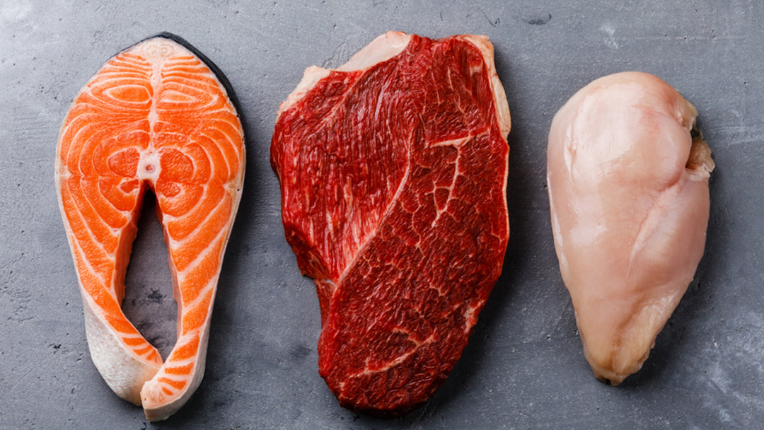 Beef vs. Chicken vs. Fish Which Is the Best Protein? The Amino Company