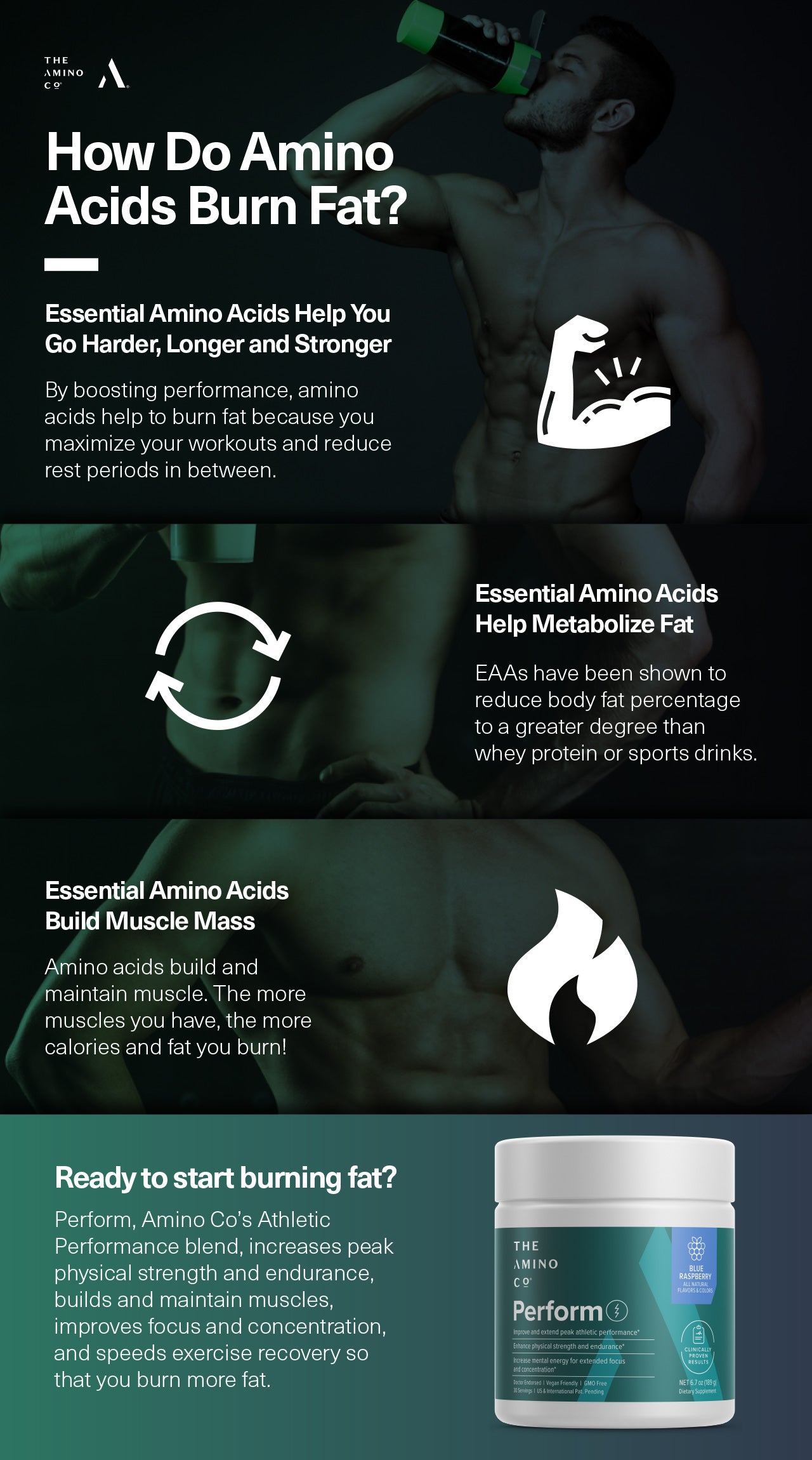 How Do Amino Acids Burn Fat?