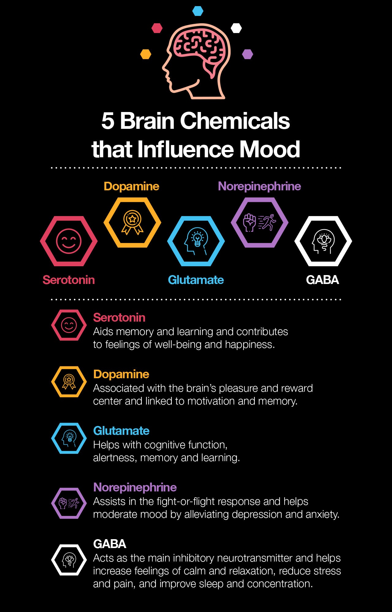 Our brains are very intricate, splendid organs that have a network of connections and pathways that work harmoniously together so we can think, feel, and react. We’ll look at the impressive machine between your ears and how brain chemicals affect your emotions and overall state of mind.