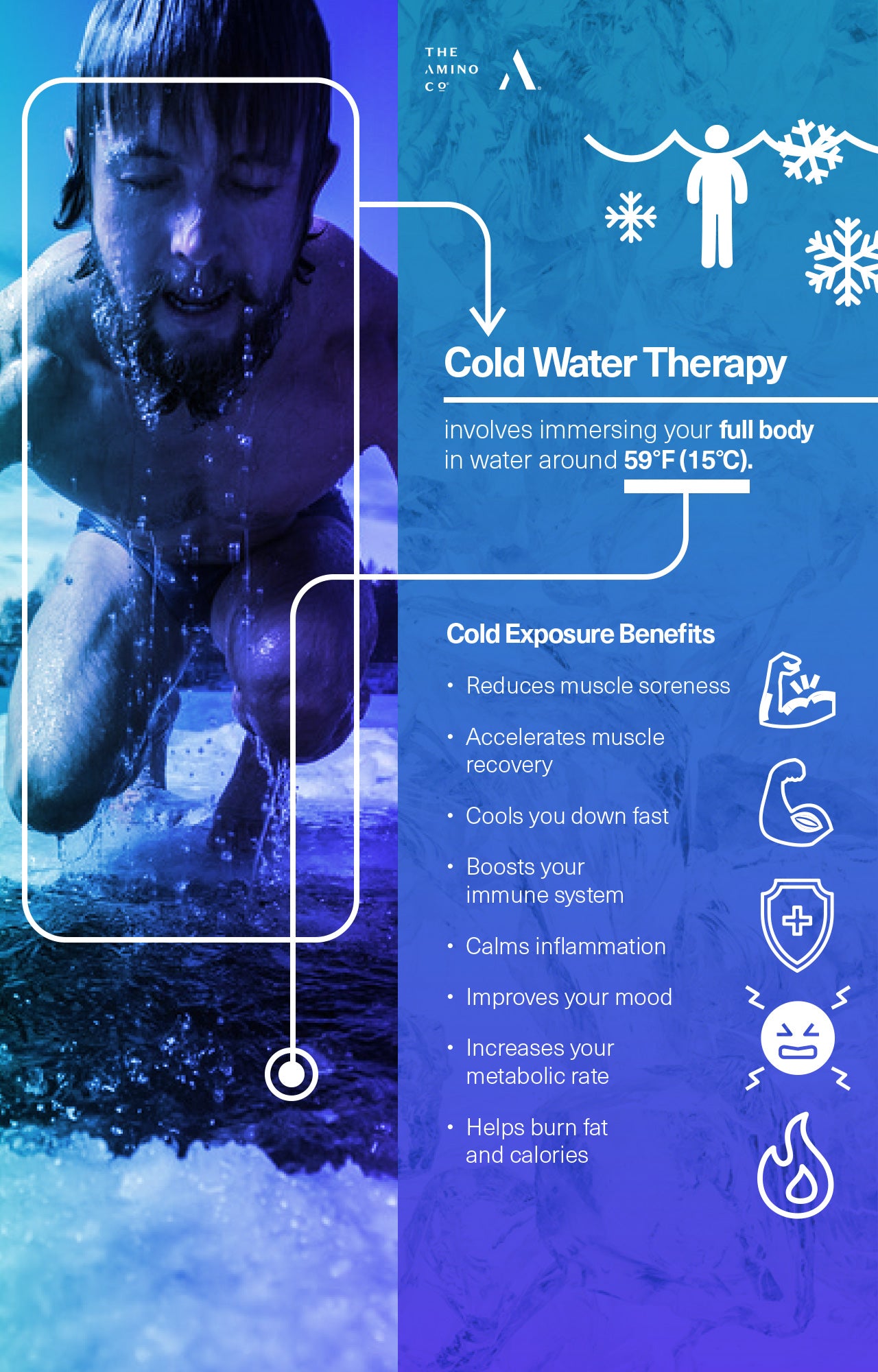 The Benefits of Cold Exposure: Are They Worth the Chill? – The Amino Company
