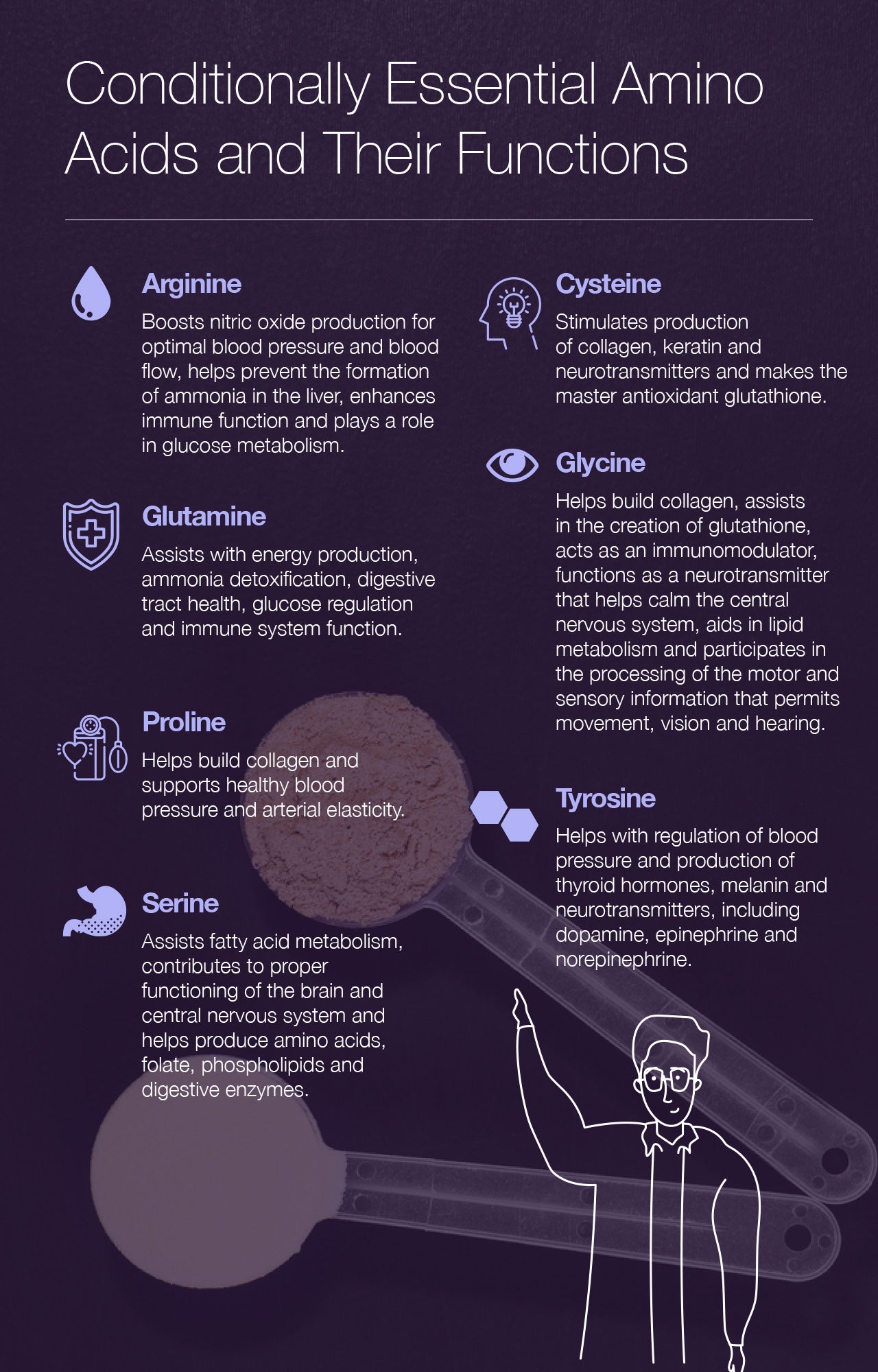 Conditionally Essential Amino Acids and Their Functions