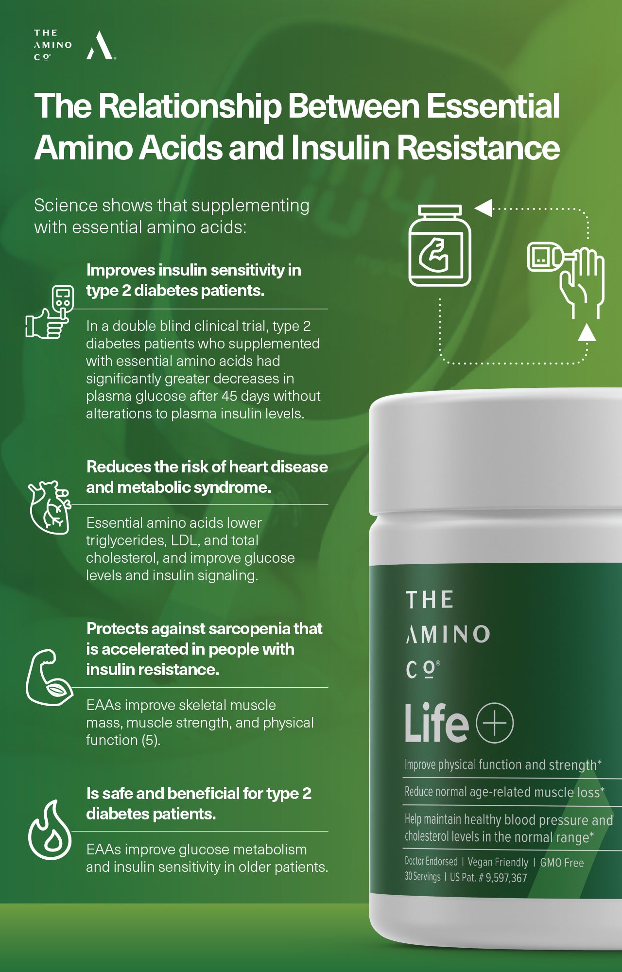 The Relationship Between Essential Amino Acids and Insulin Resistance