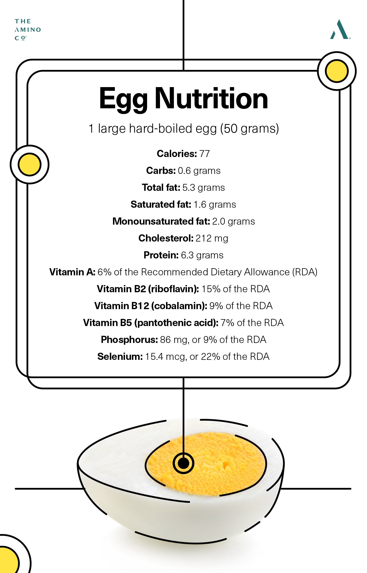 Eggs vs. Protein Powder: Which Is Better for Building Muscle