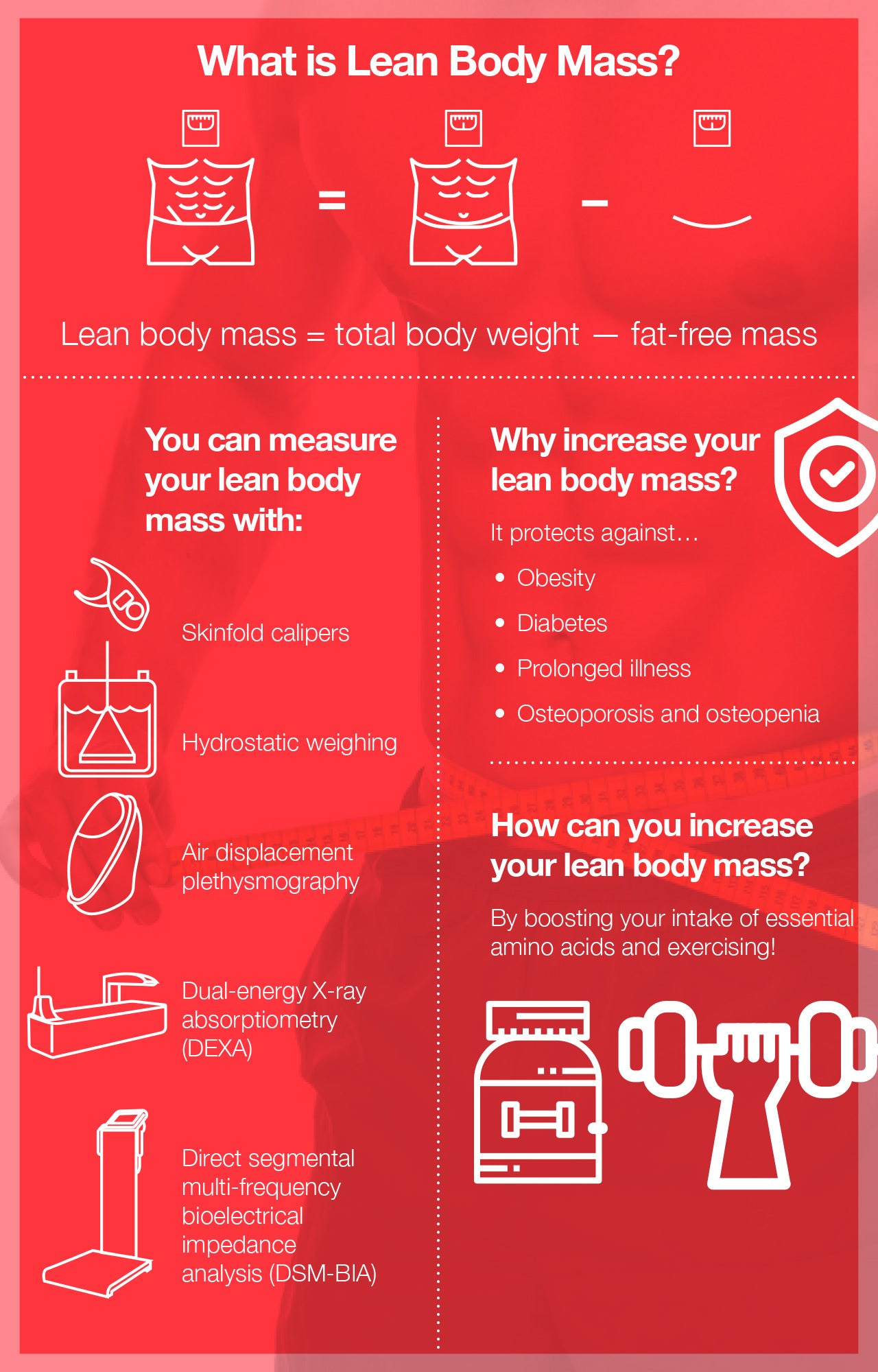 What Is Lean Body Mass?