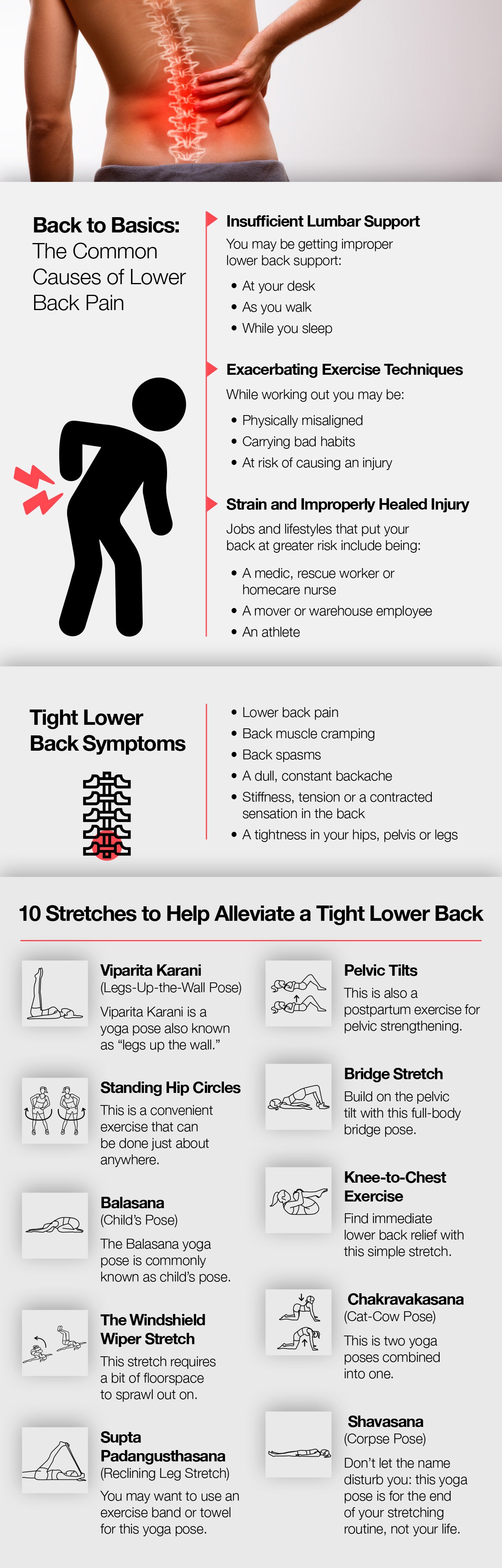 6 Stretches for Back Pain Relief Infographic